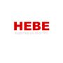  Hebe Financial Services: Trusted Advisors in Financial Cons