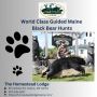 World Class Guided Maine Black Bear Hunts