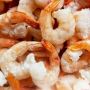 Buy Frozen Cooked Shrimp Canada