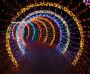 Brighten Your Holidays with NJ's Premier Christmas Light Dec