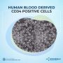 Fast-Track Blood Regeneration Studies: Reliable Source of Hu