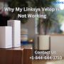 Why my Linksys Velop is not working | +1-800-439-6173 |Link