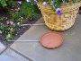 Keep Your Home Clean with Premium Potted Plant Drip Trays - 