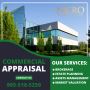 Appraisal & Consulting Services in Hamilton