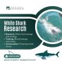 White Shark Research