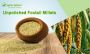 Unpolished Foxtail Millets: Your Gateway to Remain Healthy
