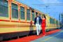 Book Your Dream Trip: Palace on Wheels Train Tour (palaceonw