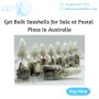 Get Bulk Seashells for Sale at Pastel Pines in Australia