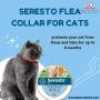 Seresto for Cats: Seresto Flea and Tick Treatment for Cats
