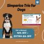 Simparica Trio for Dogs: Get 40% Off + 15% Extra Discount
