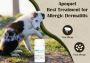 Apoquel for Dogs – Best Treatment for Allergic Dermatitis