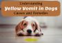 Understanding Yellow Vomit in Dogs: Causes and Remedies