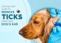 Step-by-Step Guide to Remove Ticks from Your Dog's Ear