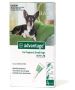 Advantage for Dogs - Flea & Tick Protection | BestVetCare