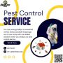 Trusted Pest Removal : Pest City USA Premium Extermination 