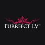 Elevate your Las Vegas experience with Purrfect LV