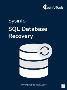 SQL Database Repair Tool recover MS SQL database files.
