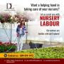 Professional Nursery Labour in Abbotsford BC