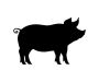 Whole Hog For Sale Near Me - Buy Whole Pigs at Red Field Ran