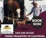 Safe and Secure Horse Transport in California with Rocking Y