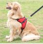 https://rockymountaindog.ca/collections/harnesses-bundle-col
