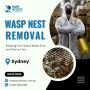 Professional Wasp Nest Removal Services in Sydney