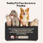 Trusted Pet Care Services in Puyallup - Happy Pets & Safe