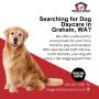 Searching for Dog Daycare in Graham, WA?