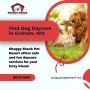 Find Dog Daycare in Graham, WA | Shaggy Shack Pet Resort