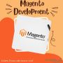 Magento Design and Development | Magento Plugin Development