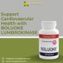  Support Cardiovascular Health with BOLUOKE LUMBROKINASE