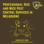 Mice Pest Control Services in Melbourne to Avoid Property Da
