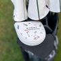 Stylish Protection for Your Mallet Putter | StripeGolf