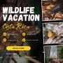 Explore Thrilling Wildlife Tours at Costa Rica with Sukia