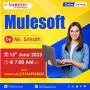 Free Online Demo On MuleSoft by Mr. Srinath