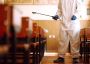Pest Control Worthing | Expert Solutions for a Pest-Free Hom
