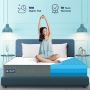 Experience Unmatched Comfort with The Sleep Company Mattress