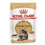 Royal Canin Maine Coon in Gravy Adult Over 15 Months Pouches