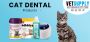 Best Cat Dental Food Online | Pet Dental Health Month