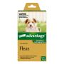 Advantage: Dog & Cat Flea Control | Low Prices | VetSupply