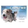 Capstar Flea Tablets for Dogs and Cats | VetSupply