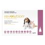 Revolution for Dogs | Revolution Flea Treatment | VetSupply
