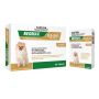 Neomax Allwormer Tablets For Dogs | VetSupply