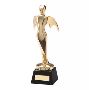 Buy Corporate Awards Online at Tower Trophies