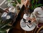 Explore Premium Decaf Coffee Beans by Tubbs Coffee Roasters