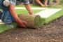 Reliable Turf Laying Contractor Sydney for Perfect Lawns