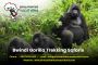 Bwindi Impenetrable National Park Tours and Tickets 
