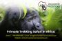 Gorilla Safari Uganda - Africa Adventure Vacations