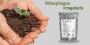 Rhizophagus Irregularis 250g Pack: Boost Your Garden Today!