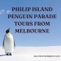 Phillip Island Penguin Parade Tours from Melbourne